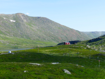 Picture of Jirestugan