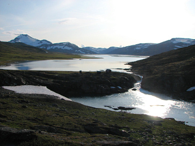 Picture of Sårjåsjaure