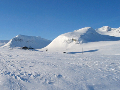 Picture of Sylarna