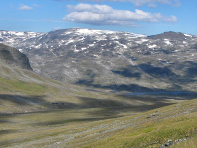 Picture of Tjktja