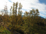 Lapporten 5