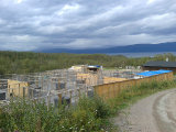Dog pens 1
