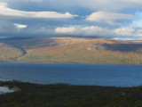 Fjelds 2