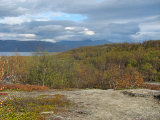 Fjelds 3