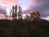 Morning 2