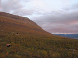 Morning 3