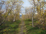 Path 7