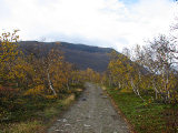 Path 8
