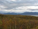 View 11