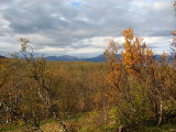 View 12