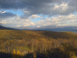 View 15