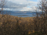 Fjelds 1