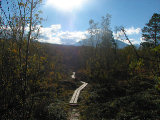 Path 1