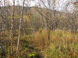 Path 1