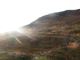 Sun 1