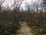 Trail 1