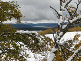Ottsjn 1