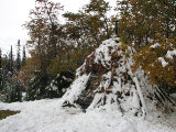 Stalovielle 1