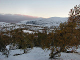 Evening 5