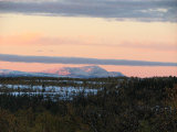 Evening 7