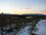 Evening 8