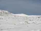 Fjelds 2