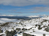Fjelds 5