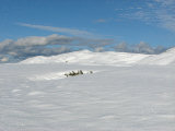 Fjelds 6
