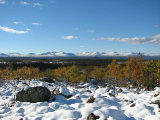Fjelds 7