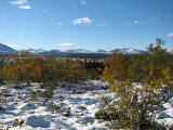 Fjelds 8