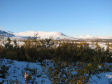 Fjelds 1