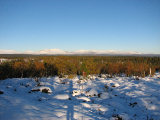 Fjelds 2