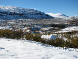 Fjelds 4