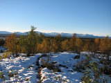 Fjelds 6