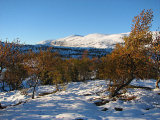 Autumn/winter mix, Vldalen area