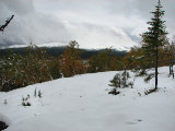 Fjelds 2
