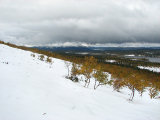 Fjelds 4