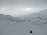 Fjelds 5