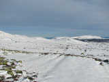 Fjelds 1
