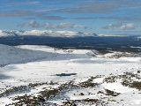 Plateau 1