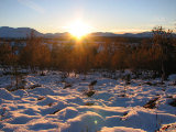 Sun 2