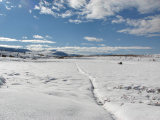 Trail 2