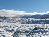 Trail 3
