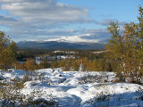 Trail 4