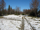 Trail 5