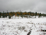 Trail 2