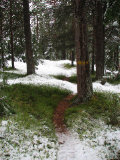 Trail 3