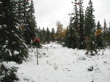 Trail 4