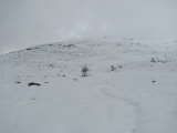 Trail 6