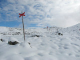 Trail 7